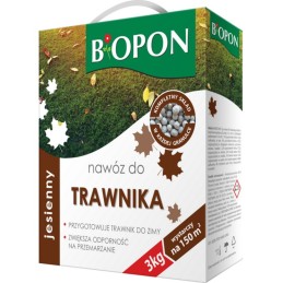 NAWÓZ JESIENNY - DO TRAWNIKA GRANULAT KARTON Z UCHWYTEM 3 KG